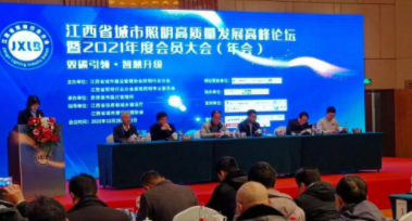 开云手机入口-开云(中国)受邀参加江西省城市照明高质量发展高峰论坛